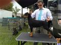 doberman pinscher puppy posted by Argus Dobermans
